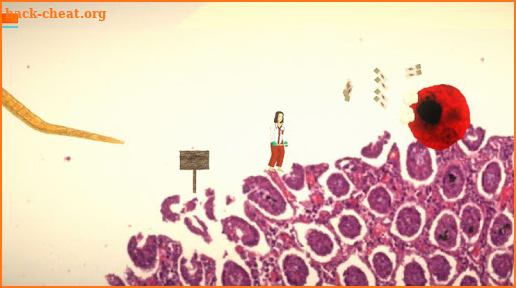 Super Histology Bros. screenshot
