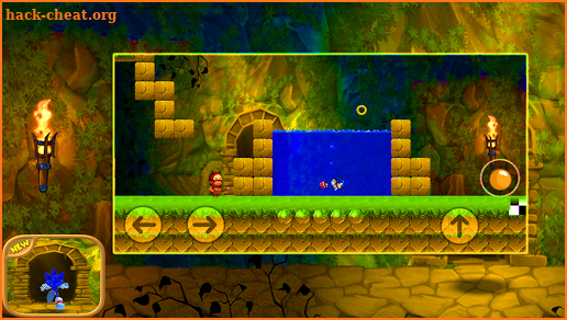 SUPER jungle sonic jumping screenshot