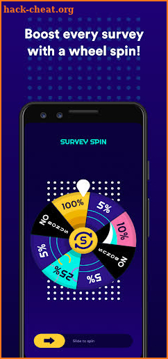 Survey Spin screenshot
