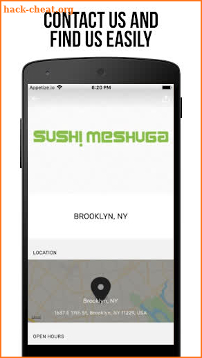 Sushi Meshuga Kings Highway screenshot