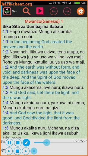Swahili English Audio Bible screenshot