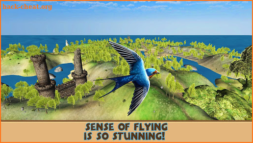 Swallow Simulator - Flying Bird Adventure screenshot