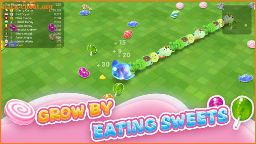 Sweet Crossing: Snake.io screenshot