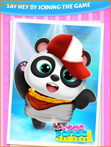 Sweet Panda Pet Daycare Nursery screenshot