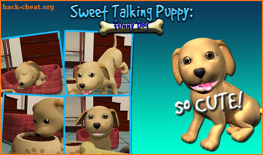 Sweet Talking Puppy Deluxe screenshot