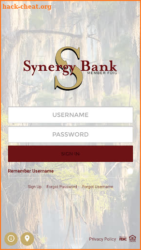 Synergy Bank screenshot