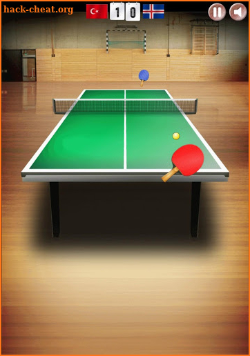 Table Tennis 🎾  World Tour Online screenshot
