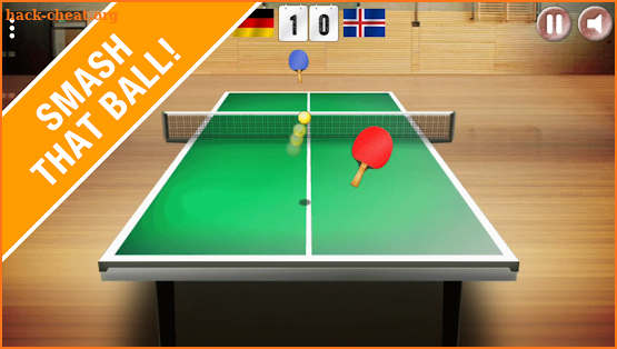 Table Tennis World Tour - The 3D Ping Pong Game screenshot