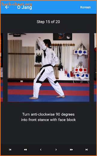 Taekwondo Master screenshot