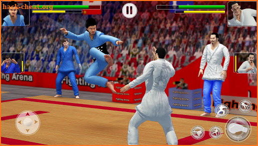 Tag Team Karate Fighting Tiger: World Kung Fu King screenshot