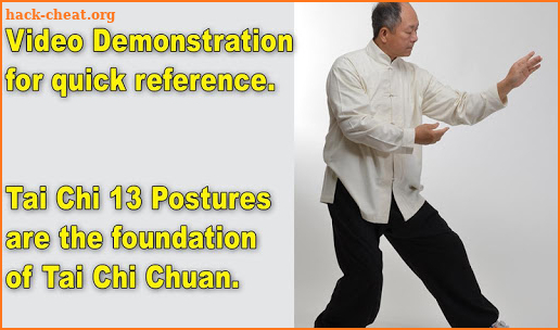 Tai Chi 13 Postures screenshot