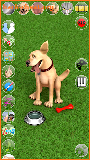 Talking John Dog: Funny Dog screenshot