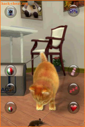 Talking Lovely Cat screenshot
