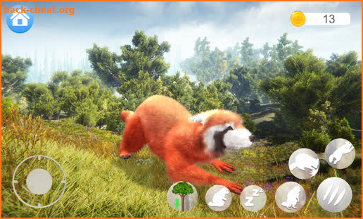 Talking Raccoon screenshot