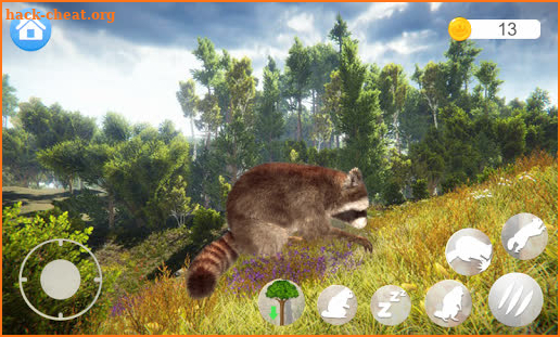 Talking Raccoon screenshot