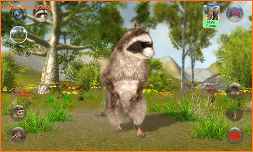 Talking Raccoon screenshot