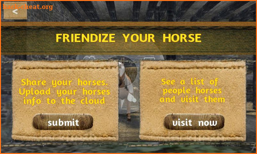 Tame your horse,pony & donkey screenshot