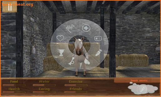 Tame your horse,pony & donkey screenshot