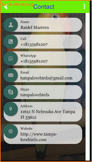 TAMPALOVEBIRDS screenshot