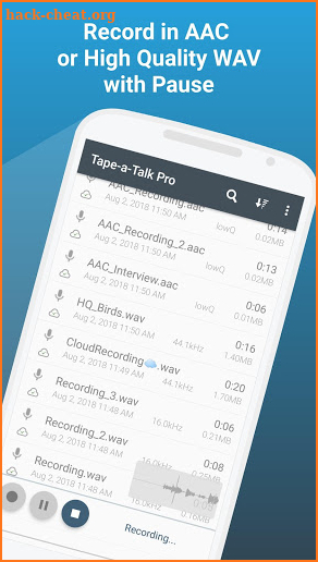 Tape-a-Talk Pro Voice Recorder screenshot