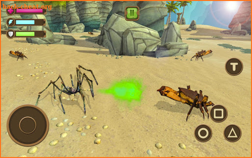 Tarantula Spider Simulator - Insect Evolution 2019 screenshot