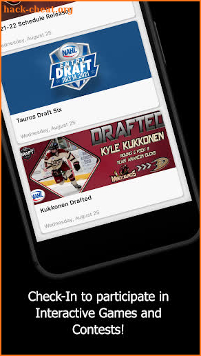 Tauros Hockey screenshot