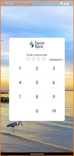 Taylor Bank screenshot
