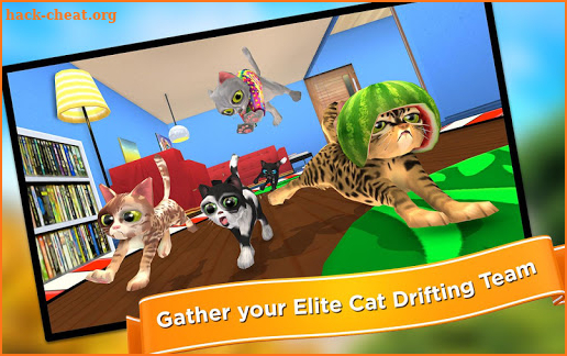 Team Drift Cats screenshot