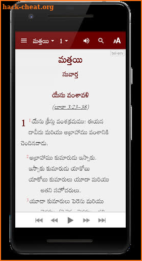 Telugu Audio Bible (తెలుగు ఆడియో బైబిల్) screenshot