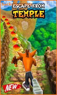 Temple Crash Jungle Escape screenshot