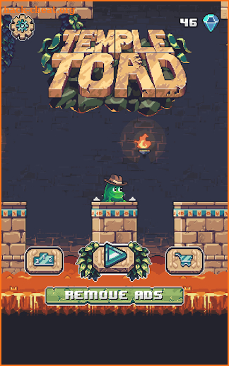 Temple Toad screenshot