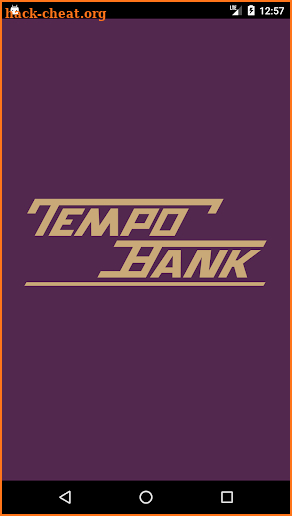 Tempo Bank screenshot