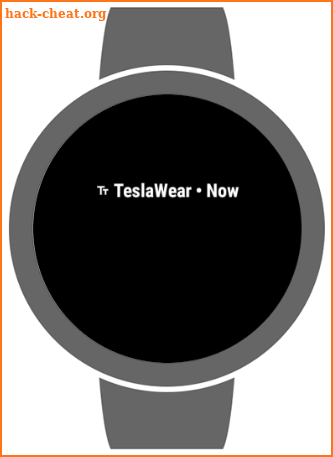 TeslaWear screenshot