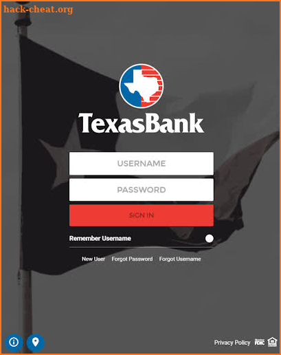 TexasBank screenshot