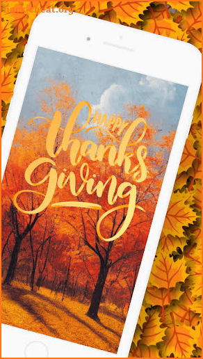 Thanksgiving Cards Wishes GIFs screenshot