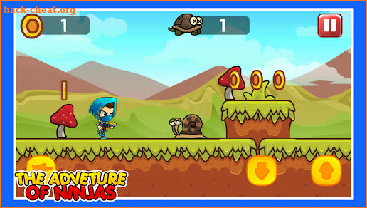 The Adventures of Ninja screenshot