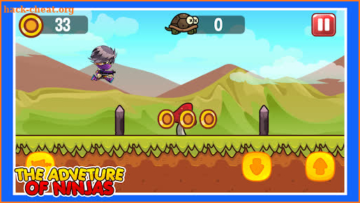 The Adventures of Ninja screenshot