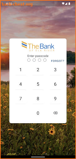 The Bank of Elk River screenshot