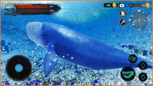 The Blue Whale screenshot