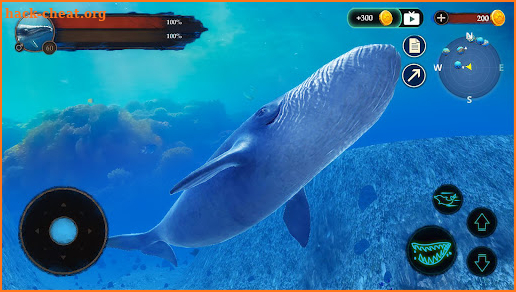 The Blue Whale screenshot