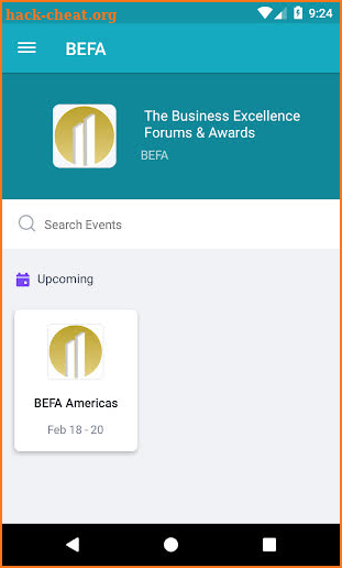 The Business Excellence Forum screenshot