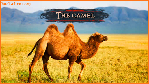 The Camel screenshot