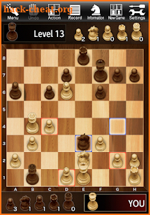 the chess lv.100 lv. 6hint
