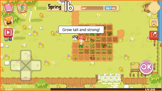 The Farm : Sassy Princess screenshot
