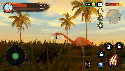 The Flamingo screenshot