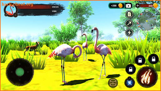 The Flamingo screenshot