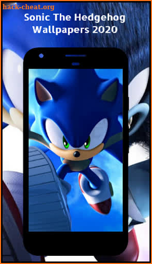 The Hedgehog HD Walls 2020 screenshot