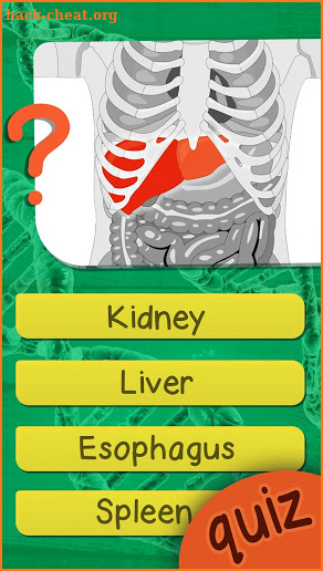 The Human Anatomy Quiz App On Human Body Organs screenshot