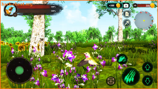 The Hummingbird screenshot
