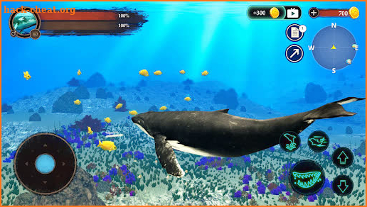 The Humpback Whales screenshot